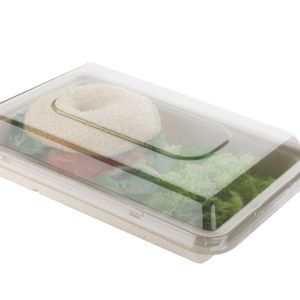 BANDEJA BAGAZO 105 170X250X40 C/ TAPA X UNIDAD