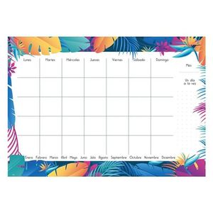 PLANIFICADOR SEMANAL SELVA X UNIDAD