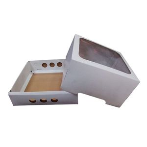 CAJA CARTULINA BLANCA C/ VISOR 22 X 22CM X UNIDAD