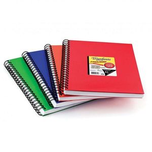 CUADERNO TRIUNFANTE A4 T/D VINILICA LAVABLE RAY X 120HJS