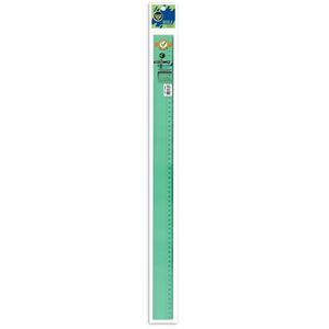 REGLAS PIZZINI ESTUDIO 60CM. VERDE X UNIDAD