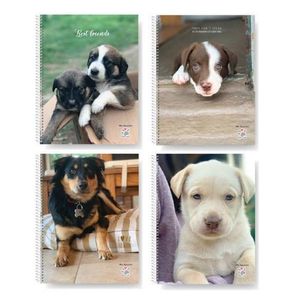 CUADERNO MIS APUNTES JOIN US C/E RAYADO 29,7 80HJS