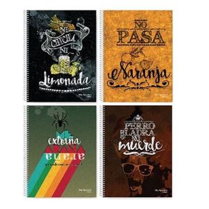 CUADERNO MIS APUNTES CITAS C/E RAYADO 29,7 120HJS