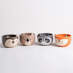 BOWLS MACETA ANIMALITO X UNIDAD